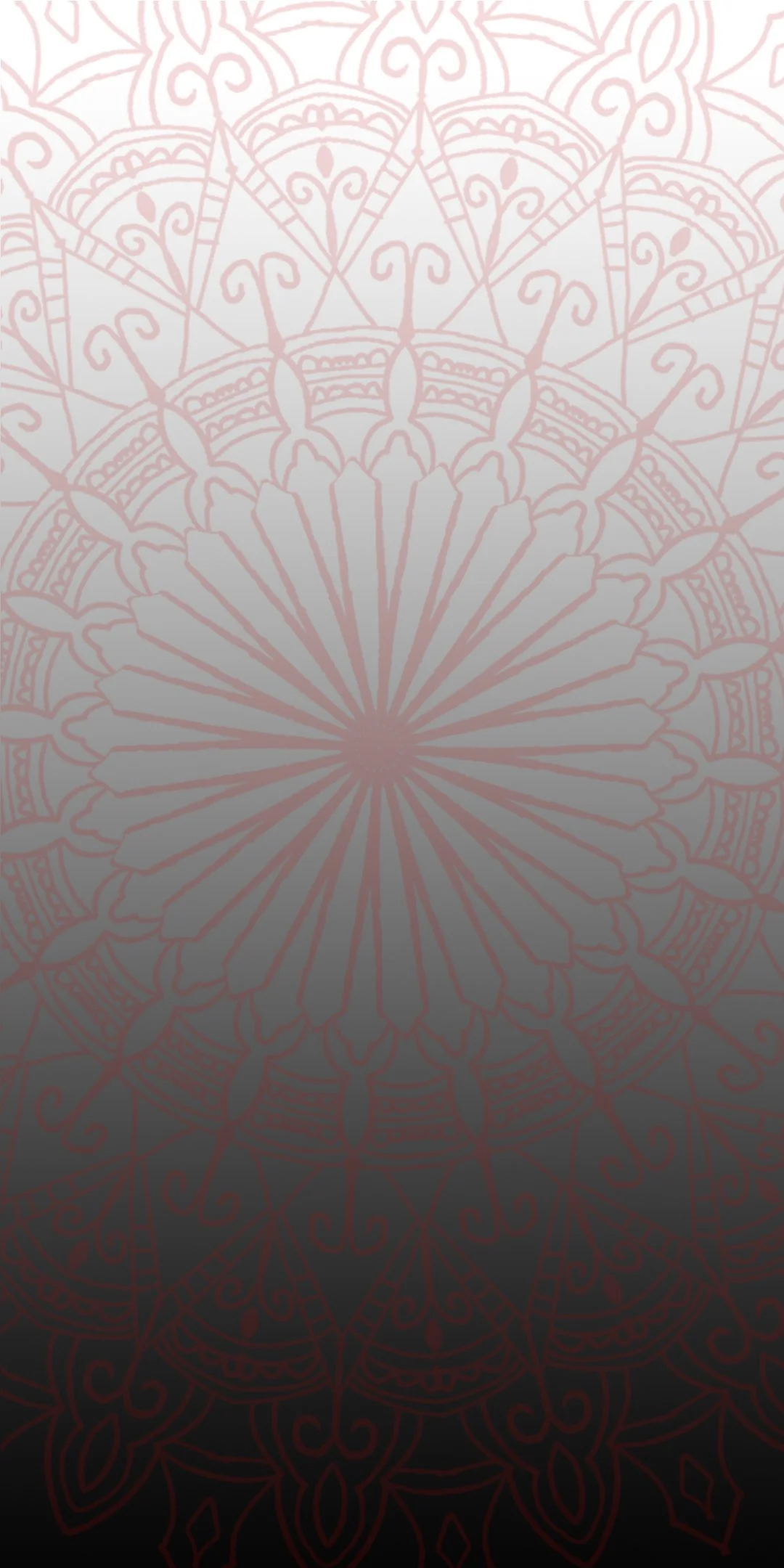 3.webp