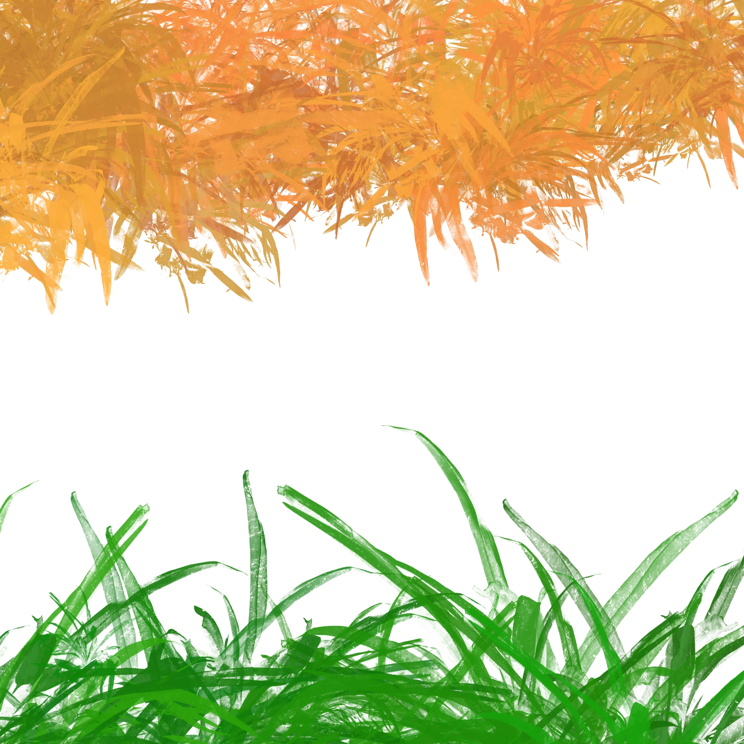9.webp